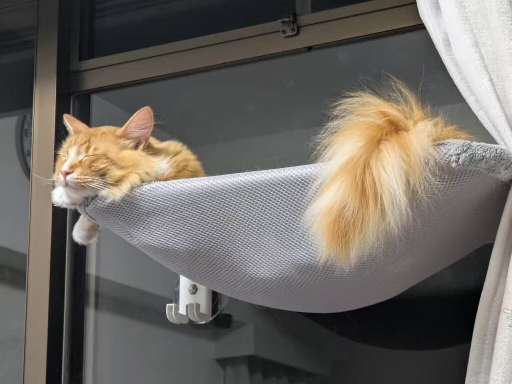 くつろぐ 猫